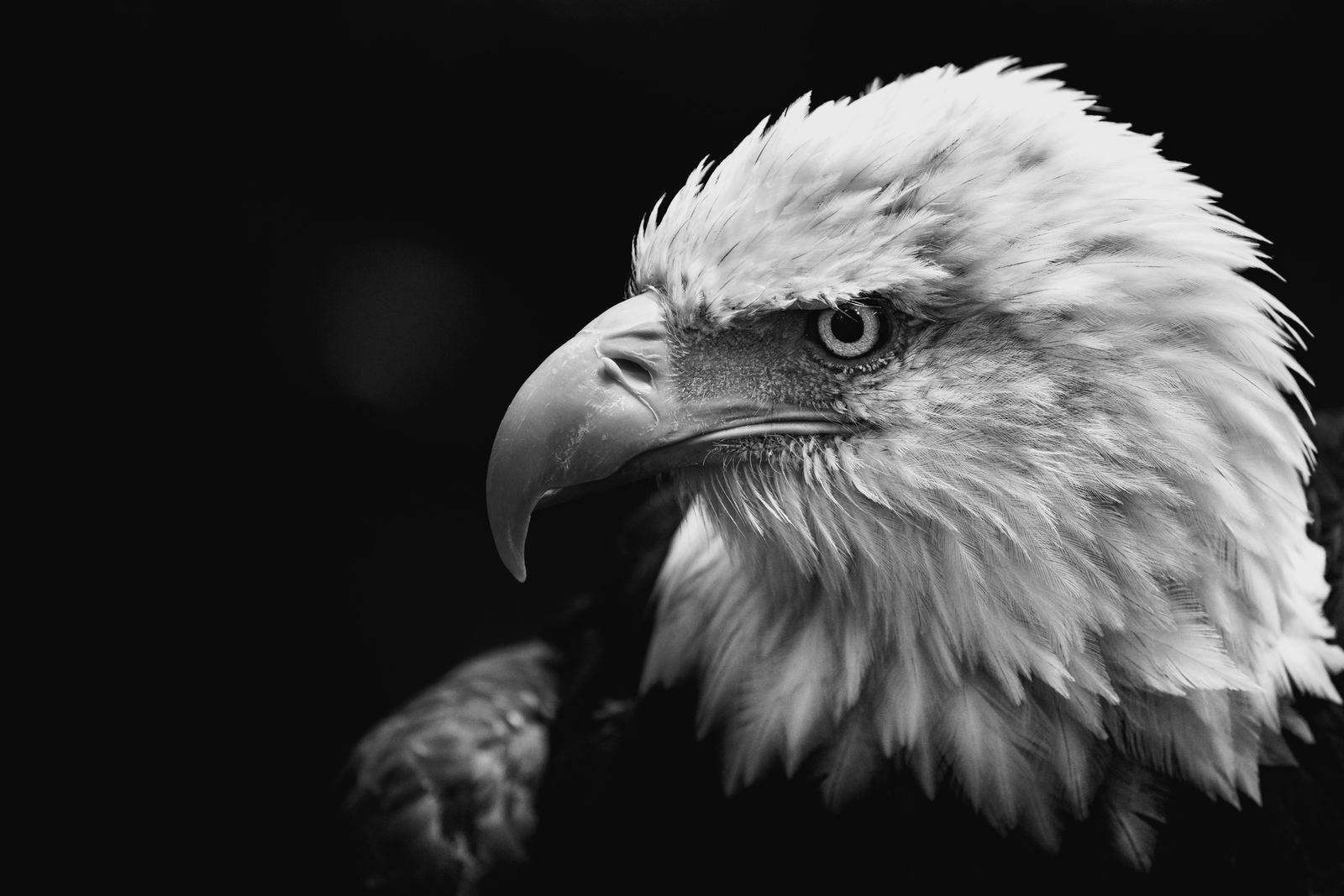 About EagleCap Legacy Wealth Partners